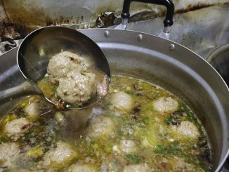 Semangkuk sup daging berempah dengan daun sup dan bawang goreng, disajikan panas