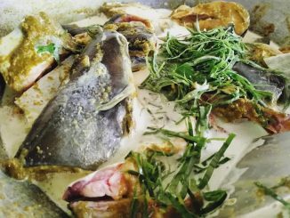 Ikan patin mentah yang telah dibersihkan, sedia untuk dibuang urat putih dan dimasak.