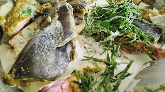 Ikan patin mentah yang telah dibersihkan, sedia untuk dibuang urat putih dan dimasak.