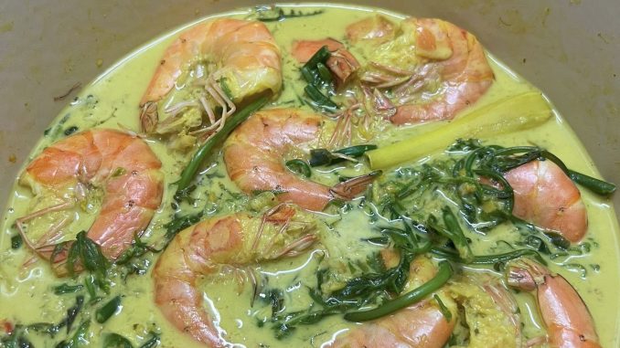 Gulai lemak udang berkuah pekat dengan pucuk paku pakis yang segar, cili padi, santan dan serai, siap untuk dihidang bersama nasi panas.
