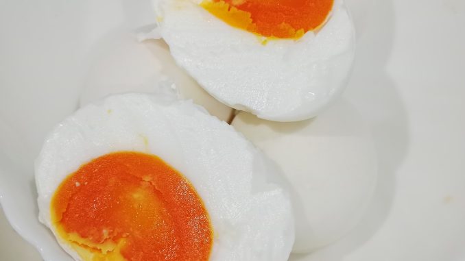 Telur itik segar sebelum proses dibuat telur masin