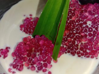 Sagu Gula Melaka tradisional disajikan dengan santan dan air gula melaka