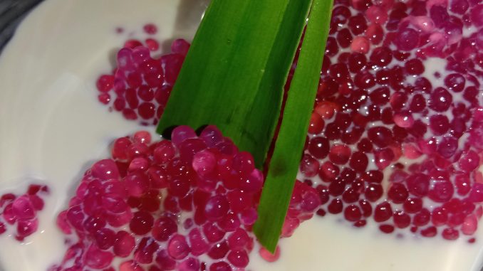 Sagu Gula Melaka tradisional disajikan dengan santan dan air gula melaka