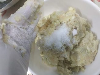 Tempoyak durian buatan sendiri yang tahan lama dan tidak cepat berkulat