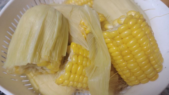 Jagung rebus dihidangkan panas, siap untuk dinikmati