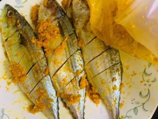 Garam kunyit campuran lengkap dengan lengkuas, bawang putih, halia dan kunyit hidup