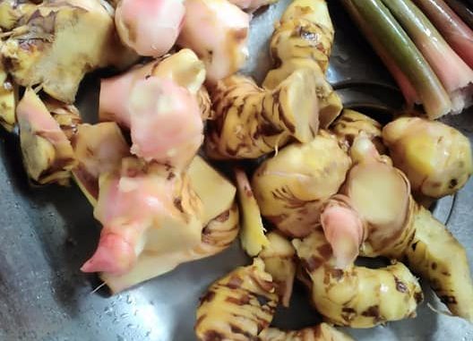 Lengkuas segar sebelum dibersihkan dan dipotong