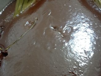 Dodol kukus berwarna coklat gelap dipotong kecil, bertekstur lembut dan kenyal serta dilapik daun pisang