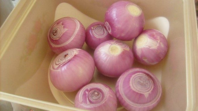 Bawang sup segar diletakkan dalam beg kertas dan bekas kedap udara, siap untuk disimpan tanpa berbau